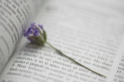 The Bible, our main textbook, is a wonderful love letter from God to us...