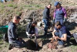 The production of such a powerful natural remedy as activated charcoal is a part of the class on Charcoal and poultices