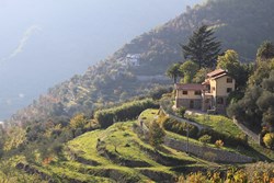 The beautiful surrounding where Menorah Mission School is found