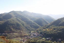 The view that is seen from the school